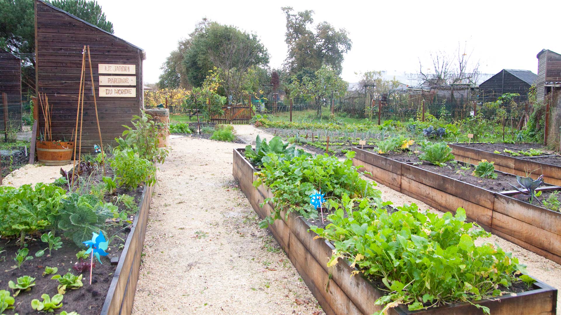 Les jardins partagés