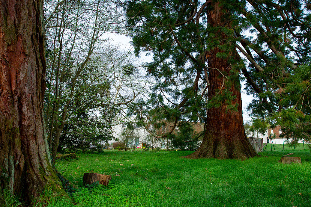 Parc de Tenet à Mérignac