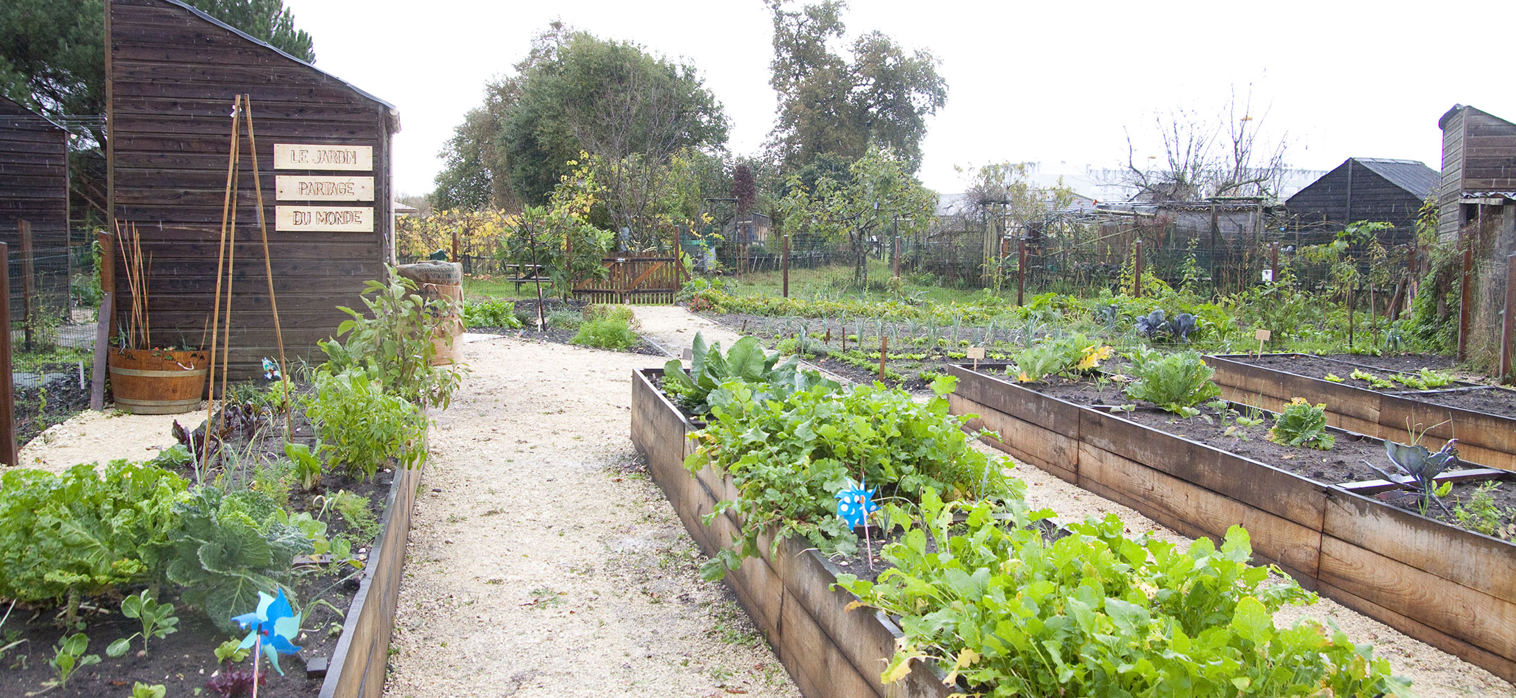 Beaudésert jardin partagés