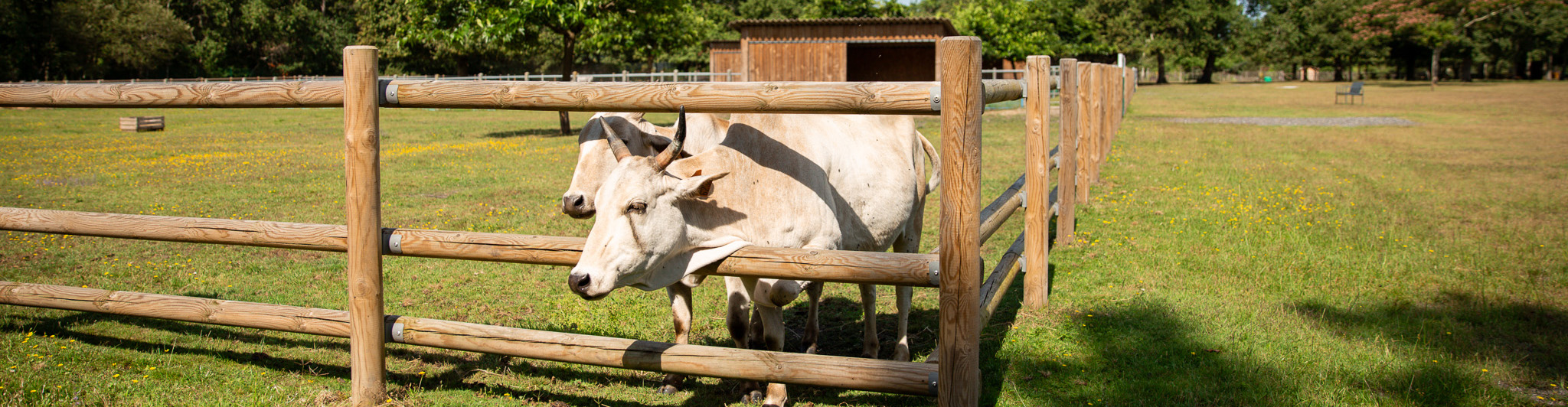 Ferme de découverte de Mérignac