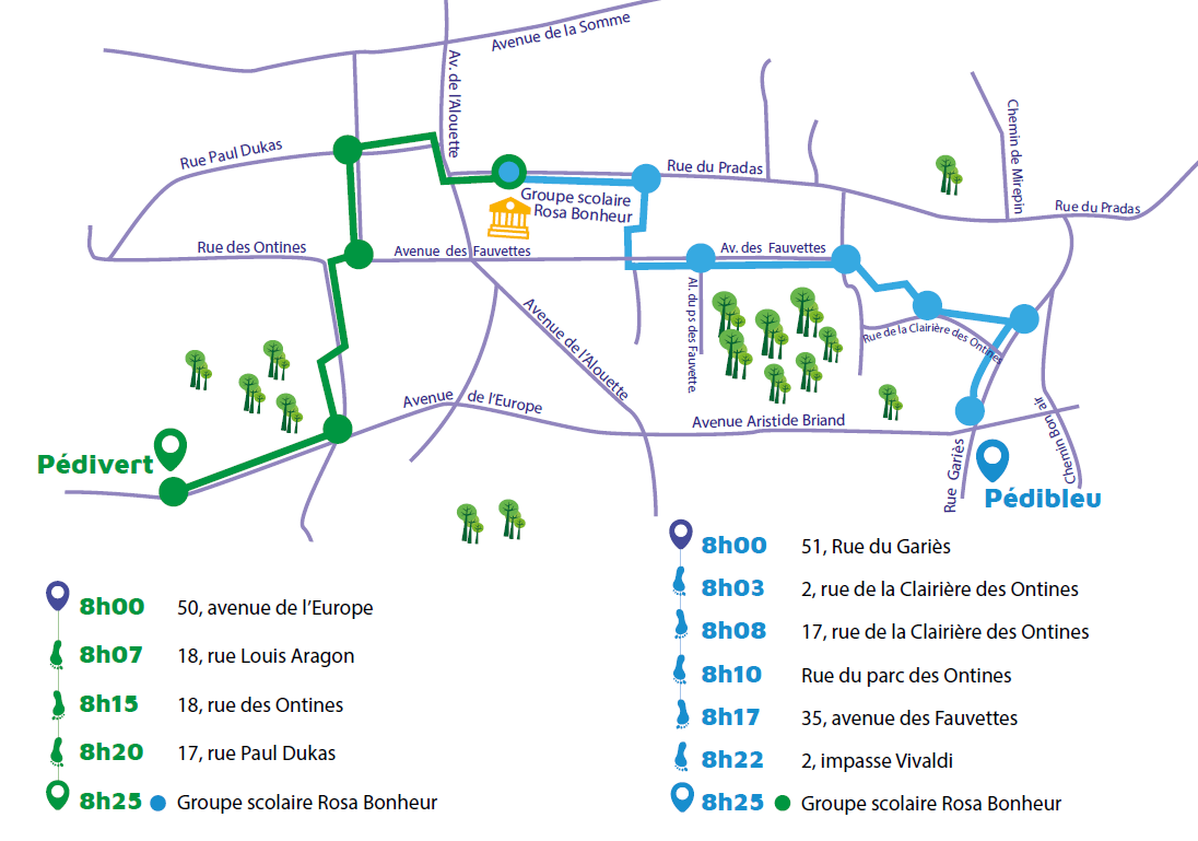 plan pedibus chemin long rosa bonheur