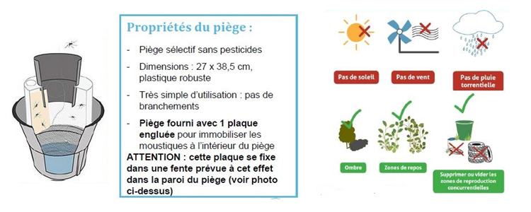 piege pondoir moustiques