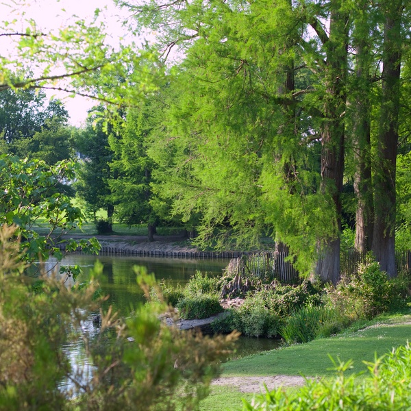 Un guide sur la nature à Mérignac