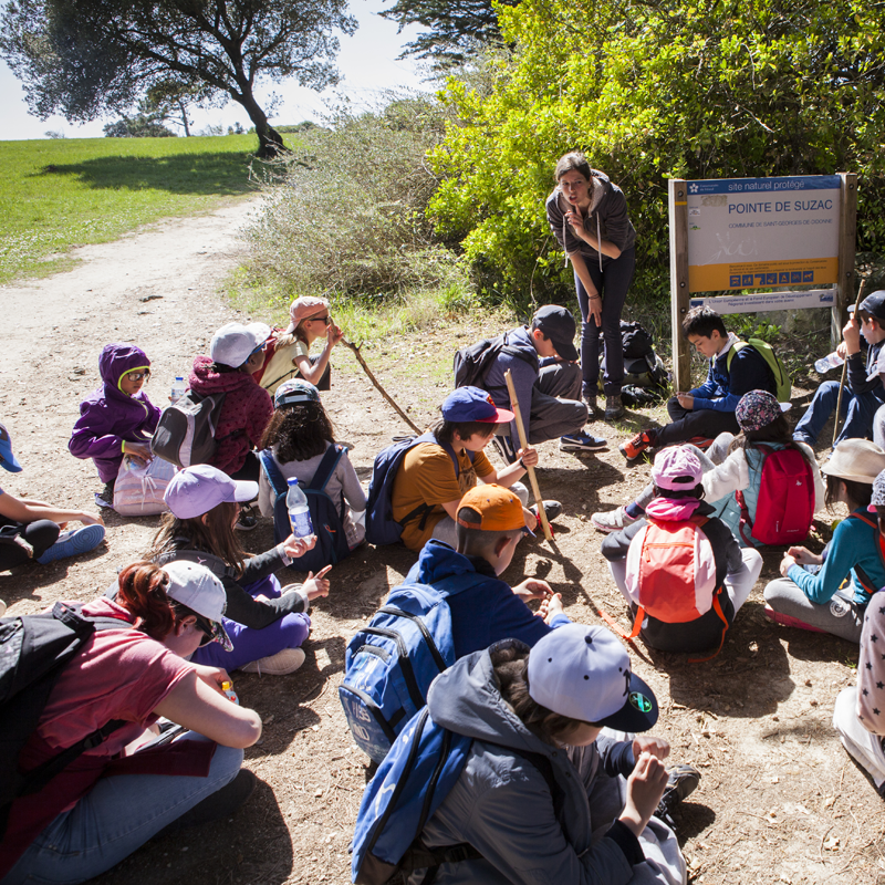 Les classes découvertes à Mérignac