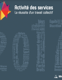  Rapport d'activité 2017