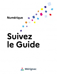 Inclusion numerique