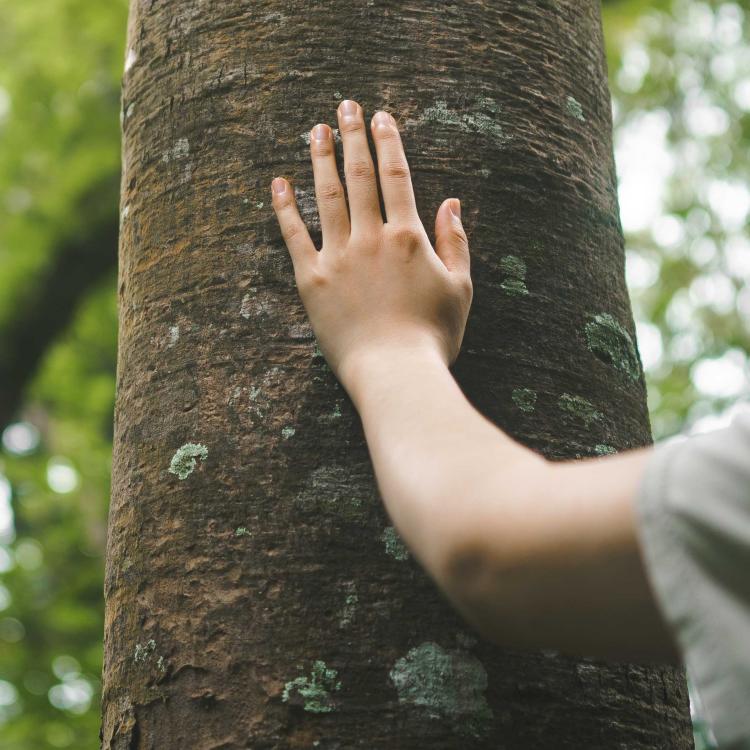 Sobriété environnementale